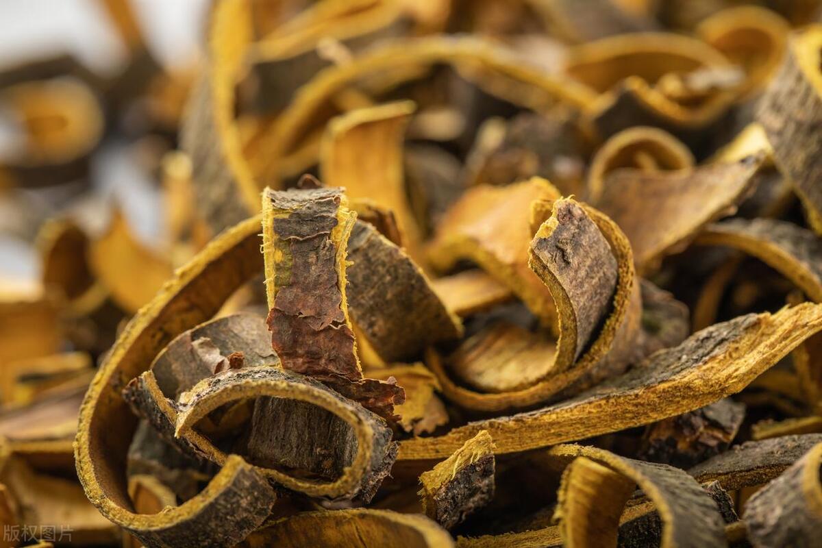 阴囊潮湿，小便黄浊？一个方子，清热祛湿，滋阴敛汗，还你干爽