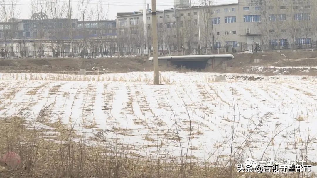 上山套野鸡，“三有动物”当年货？