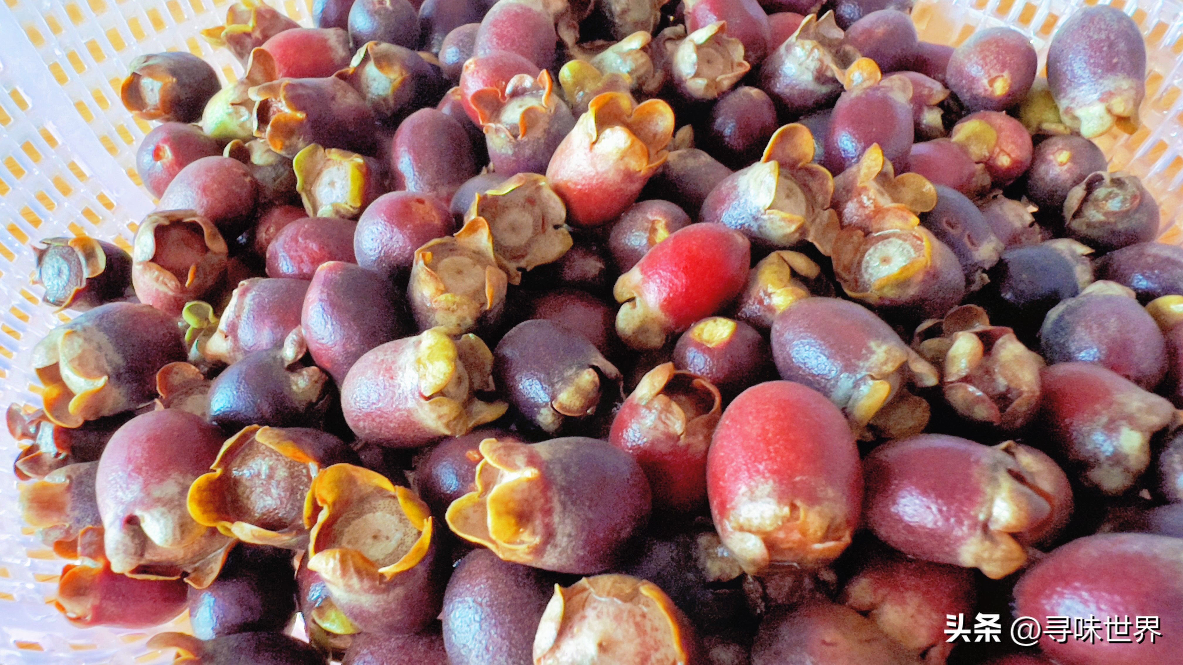 桃金娘酒制作,稔子酒标准配方及做法