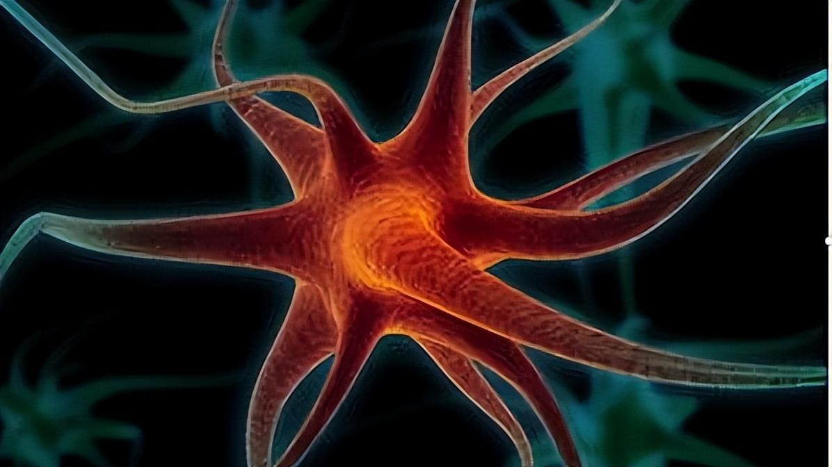 周围神经损伤的分类及潜在治疗方法