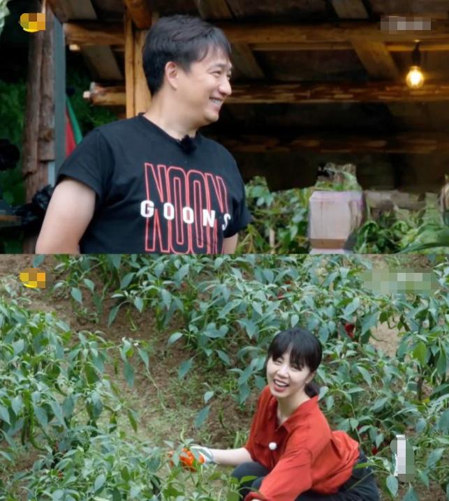 黄多多为什么遭人嫌弃,黄多多为什么那么成熟