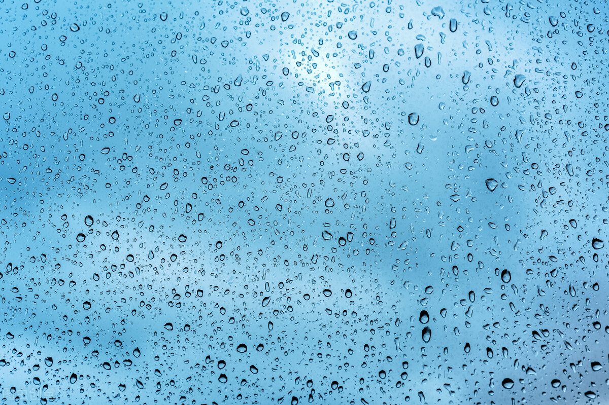 适合脾胃虚寒夏天喝的养生茶,适合祛寒气祛湿气的茶