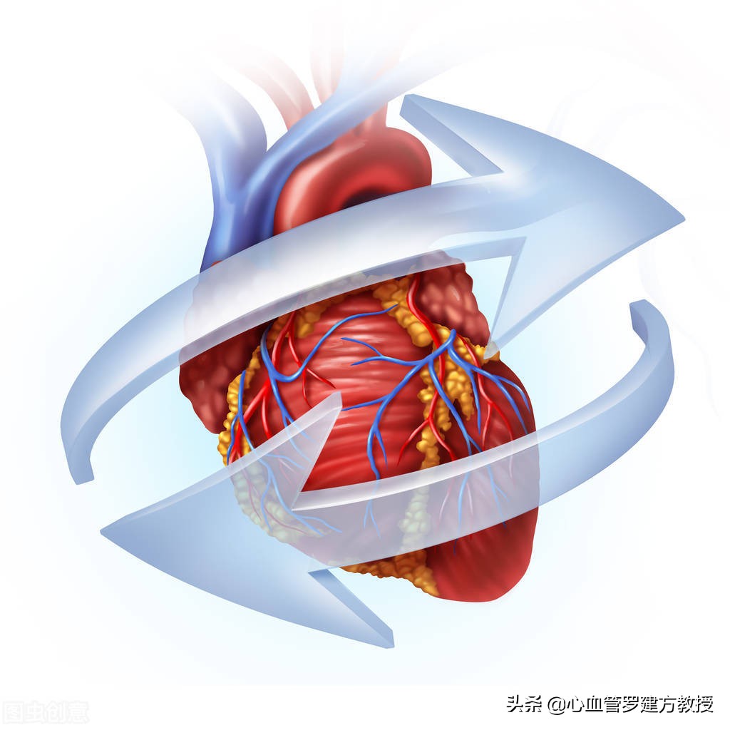 血液循环不好有什么症状怎么治疗,血液循环不好怎么治疗有效