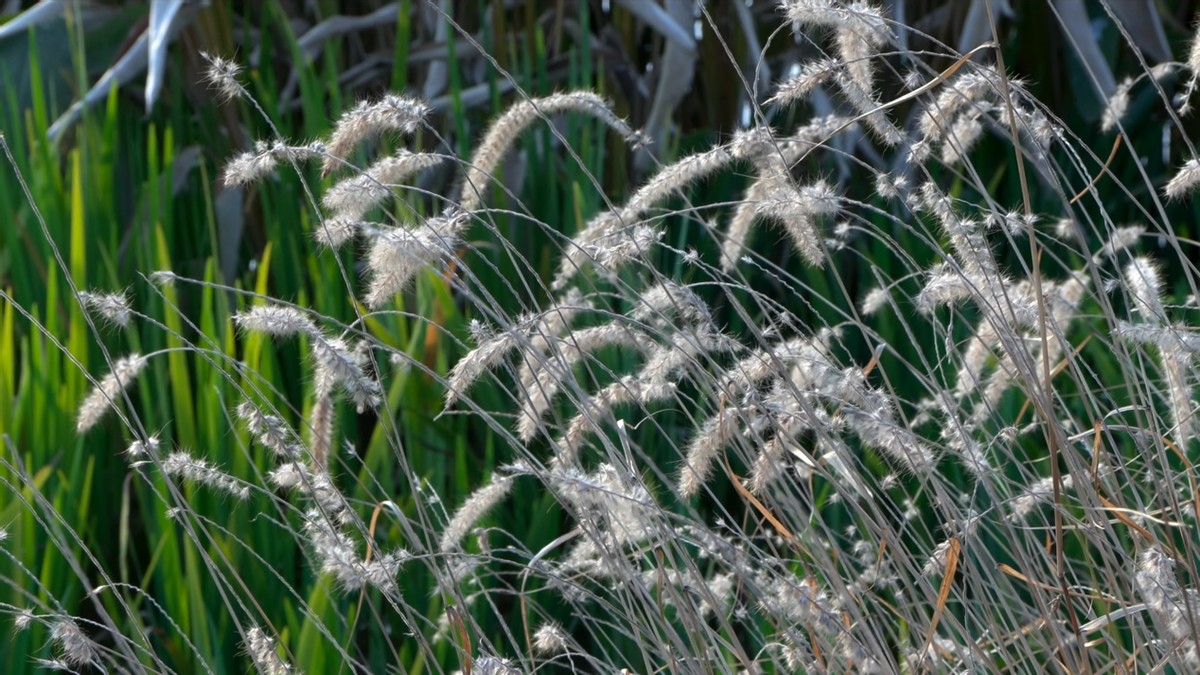 xf605浣宠兘,xf605瀹炴媿