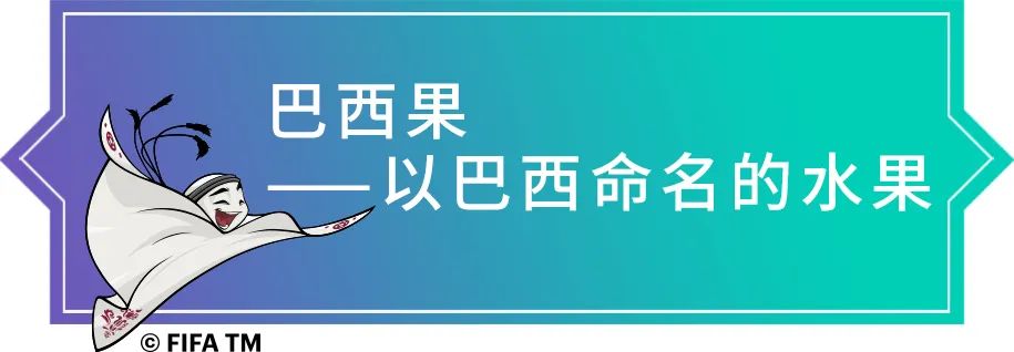 卡塔尔世界杯32强巡礼之厄瓜多尔,卡塔尔世界杯32强巡礼之伊朗