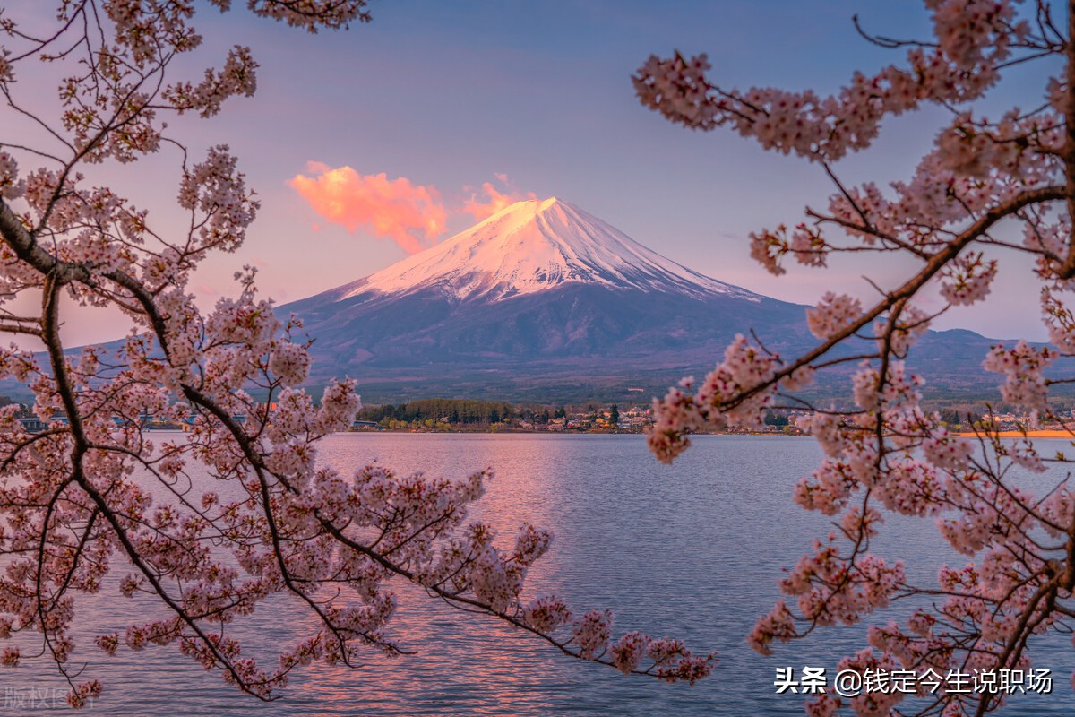 人生最好投资就是生小孩,人生赚钱副业