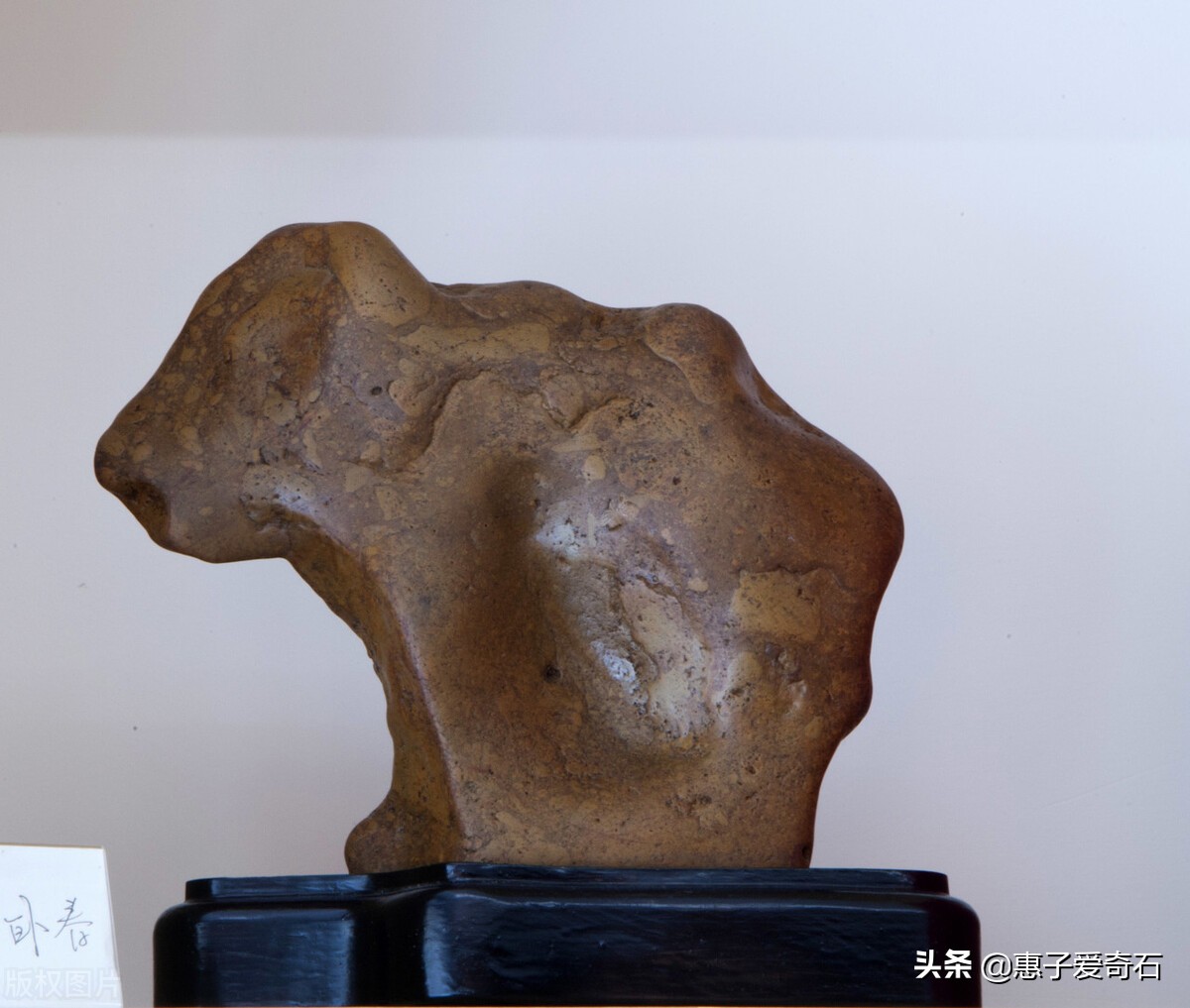 走下神坛玉器,价值1亿以上的灵璧奇石