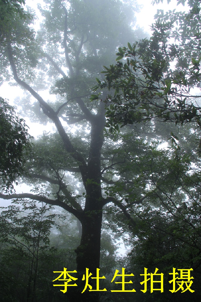 桂林猫儿山老山界,老山界猫儿山