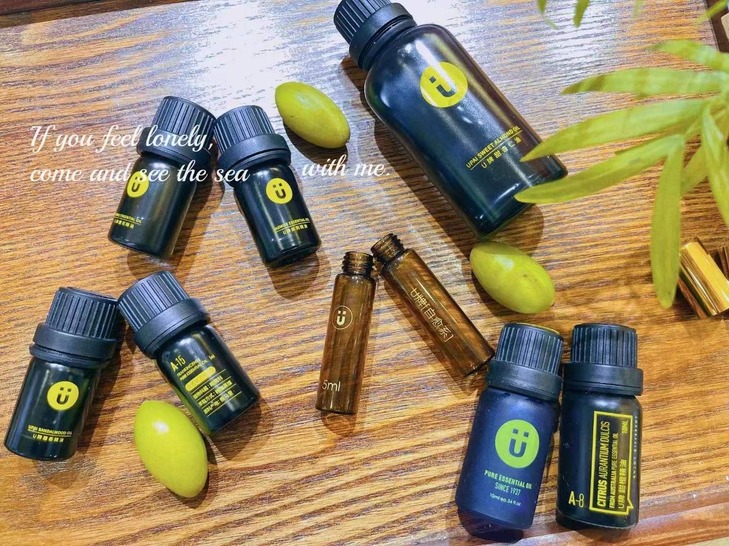 u牌尤加利精油的功效与作用,u牌尤加利精油