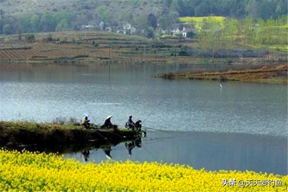 野钓大鱼技巧及方法,凌晨5点野钓大鱼要这样钓