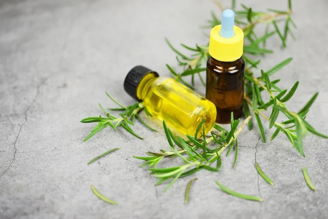 积雪草跟油橄榄哪个消炎效果好 (油橄榄和积雪草哪个适合油皮)