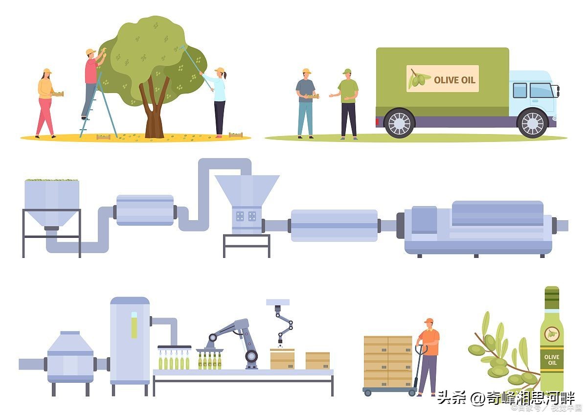 公司质量管理组织架构图详述,企业质量管理方案设计