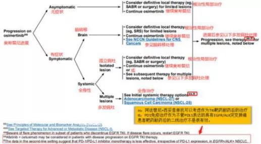 奥希替尼耐药后做哪些基因检测 (一文解析奥希替尼耐药最新方案)