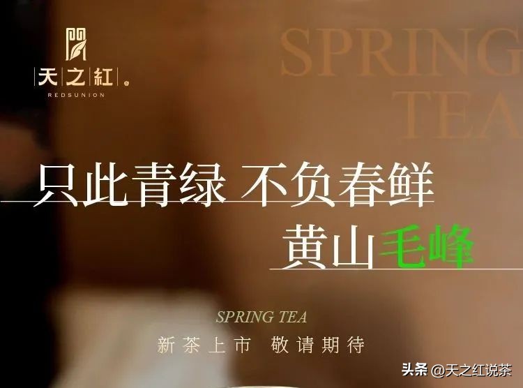 黄山特级毛峰茶,安徽黄山景区毛峰茶