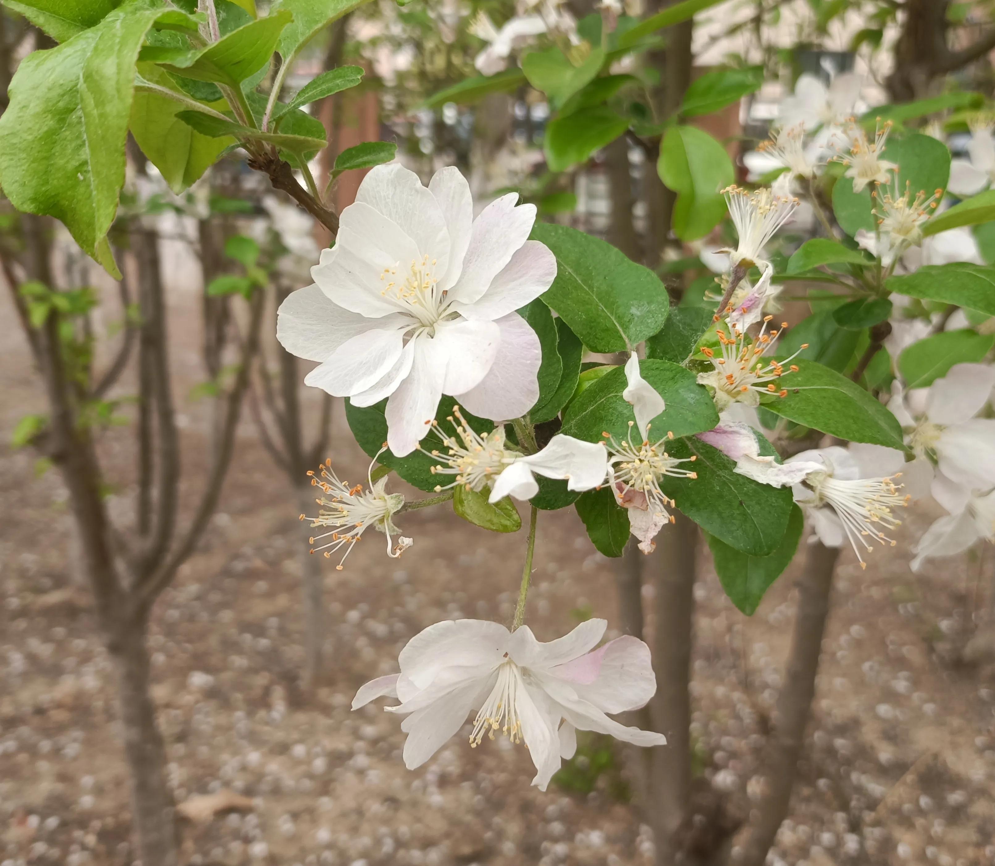 如何找到靠谱的外企,怎么找好的外企公司