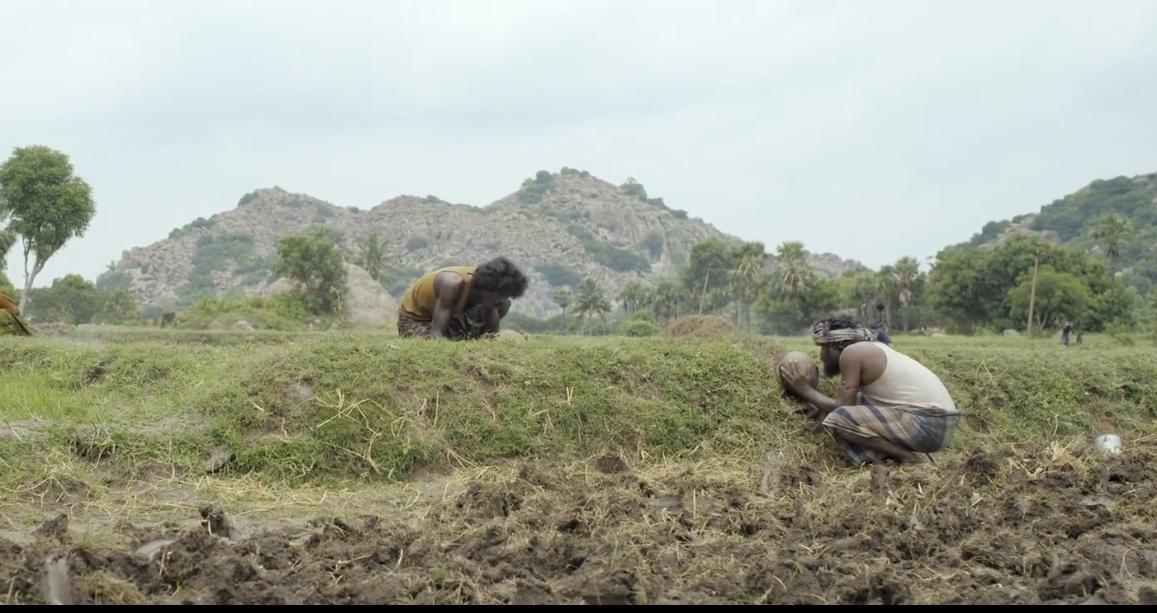豆瓣8.8的印度电影,印度电影8.8分