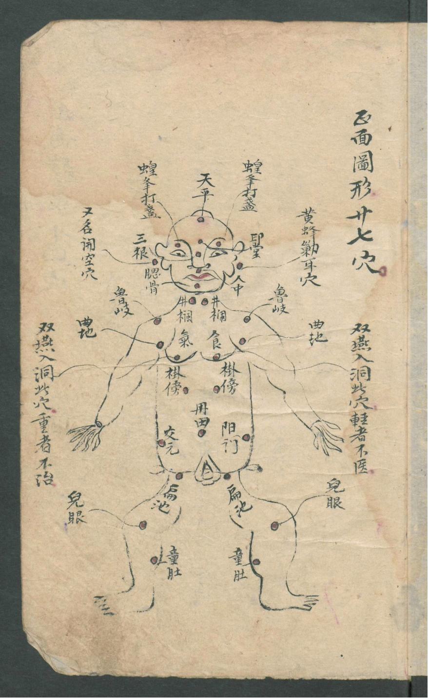 华佗仙师秘传01,华佗仙师秘传全集