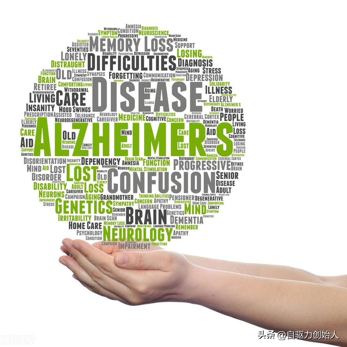 自驱型成长核心内容,自驱型成长精简片段