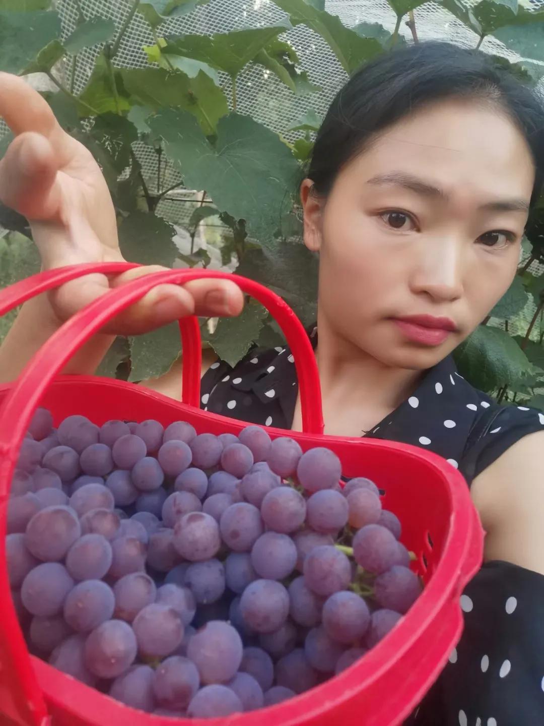 水果的酸是什么酸,水果的酸和醋的区别