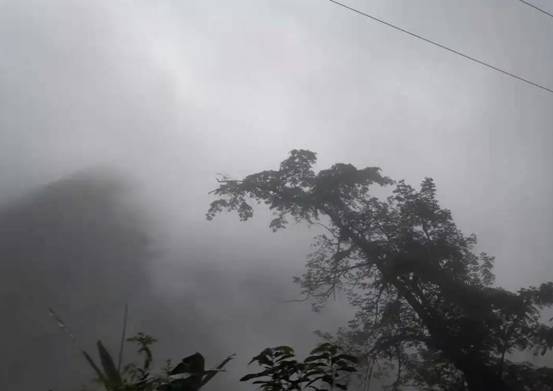 瘴气为什么有毒,瘴气的特征