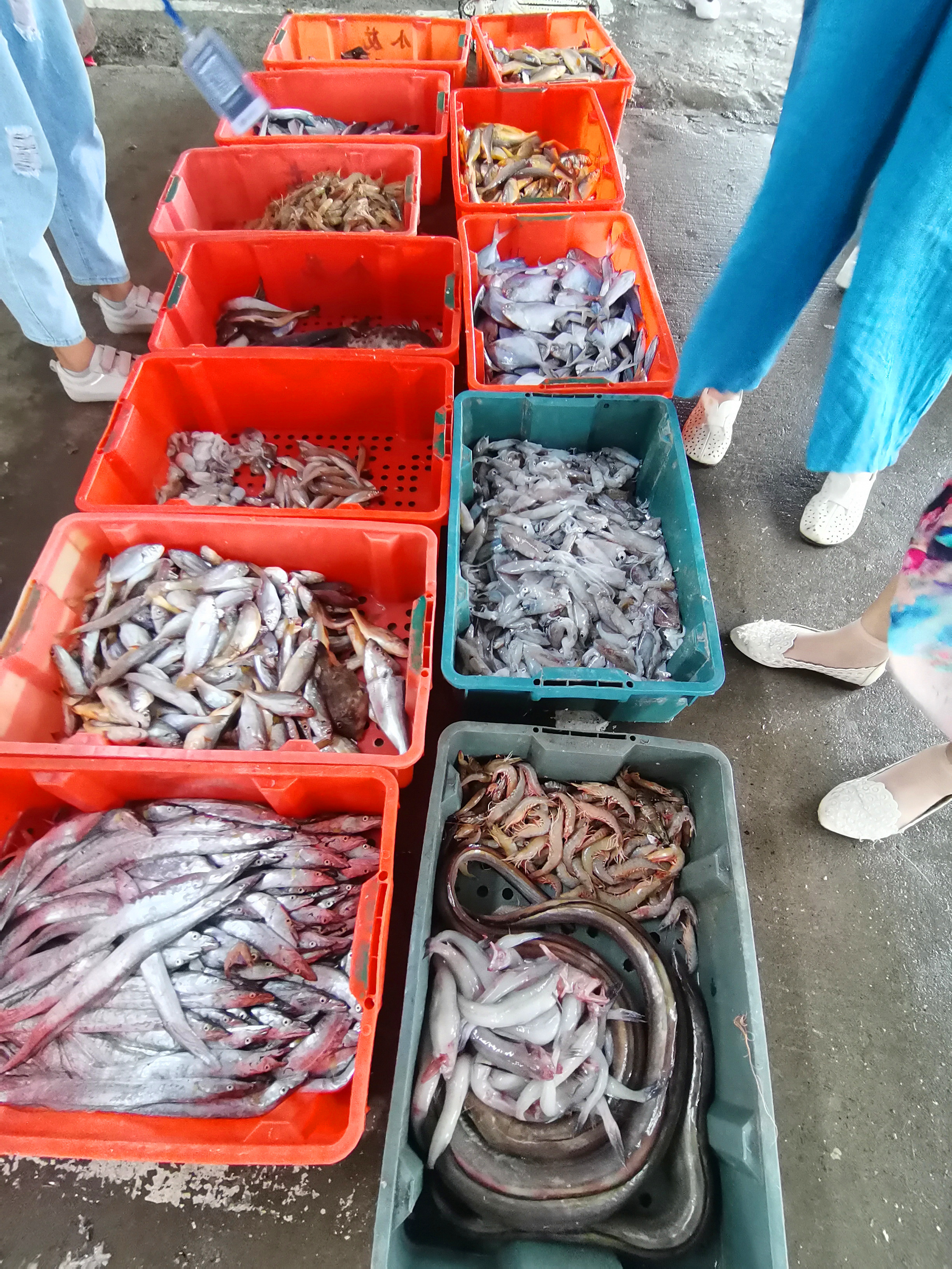 福建长乐漳港：看海、吃海鲜,2022·9·23