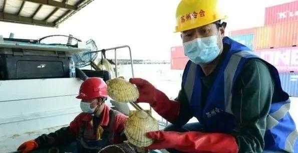 日本进口海鲜是否有核污染,日本排放核污对海鲜产品有影响吗