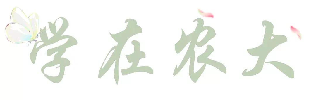 来到农大的心得体会,农大心得