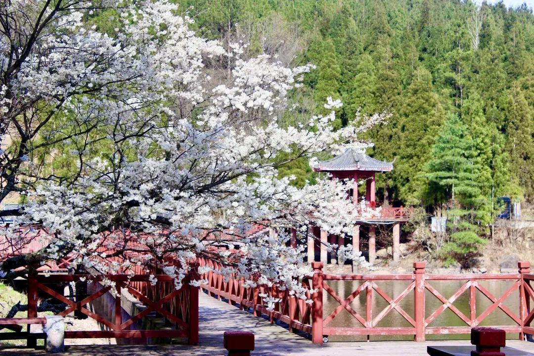 五一节四川旅游,五一放假四川旅游去处