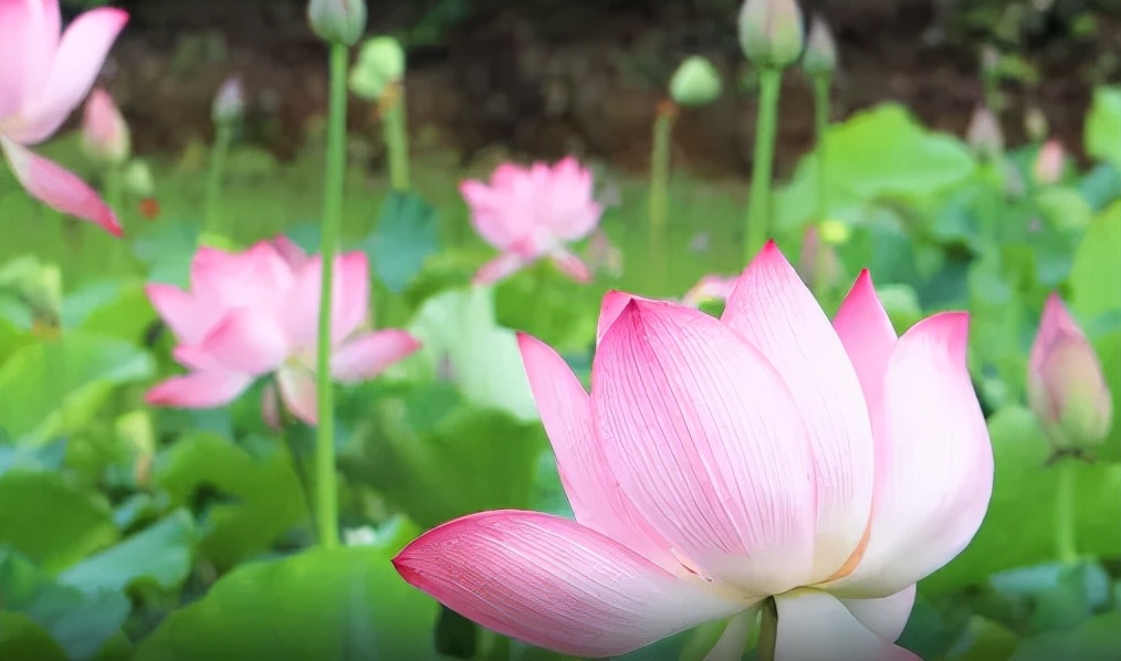 威海新晋好玩的地方,威海新打卡地