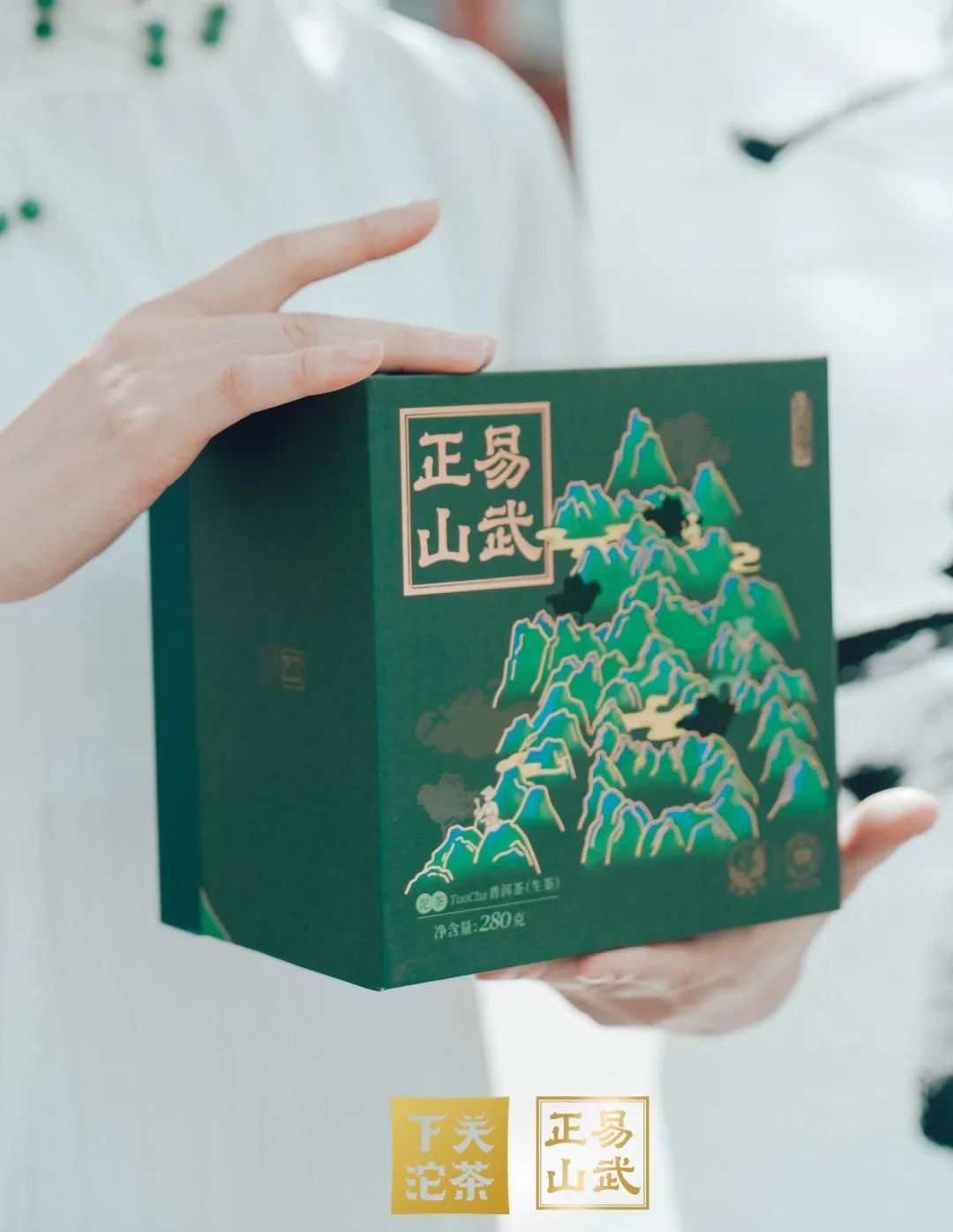 易武正山与易武乔木有何区别,正山小种茶农世家