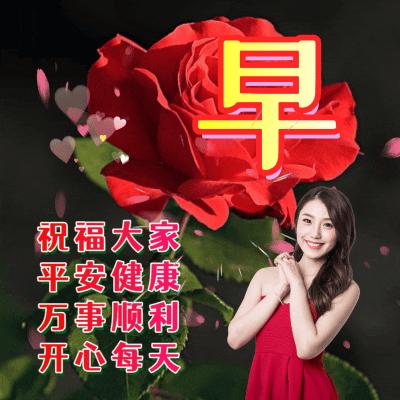 经典早安心语语录大集合36句,经典早安心语语录集锦55条