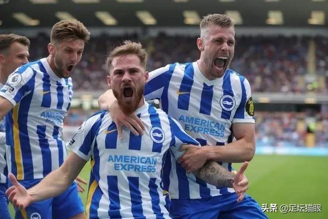 潘帕斯雄鹰阿根廷提前晋级世界杯,潘帕斯雄鹰阿根廷出征世界杯