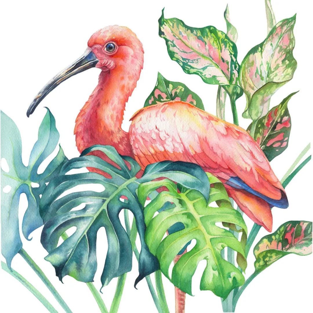 大神级水彩作品看完肯定不后悔,40张笔触狂放的水彩