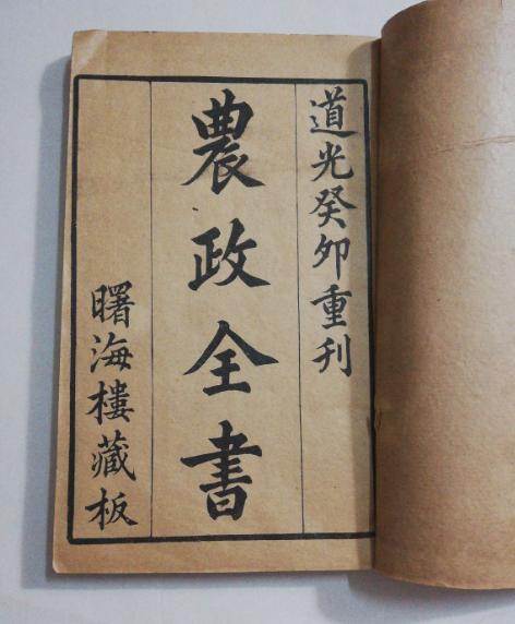 玉米在我国粮食安全中地位,当前玉米是我国第一大粮食作物