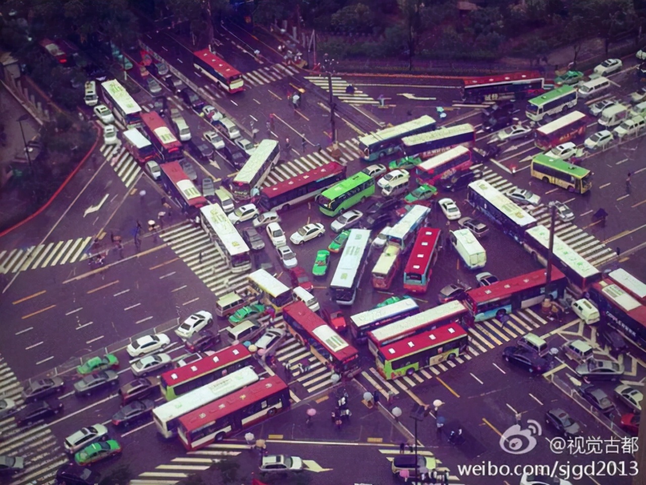 80张神奇偶然瞬间，环形闪电，海蛇和最毒石斑鱼互咬，骑骆驼拍照