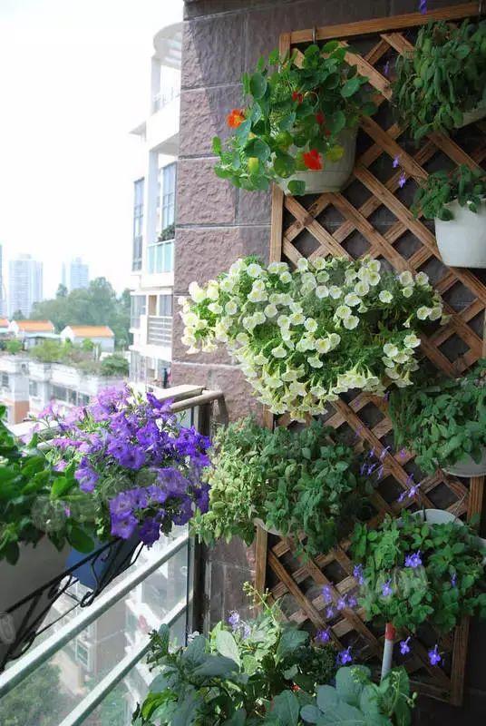 露天小阳台打造小花园效果图,卧室开放式小阳台怎么打造花园