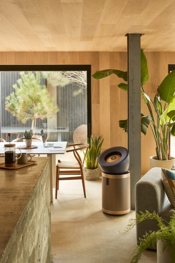 戴森最新款空气净化器,戴森空气净化器风华绝代