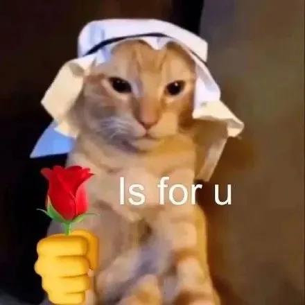 聪明水动画,聪明水的功效和作用