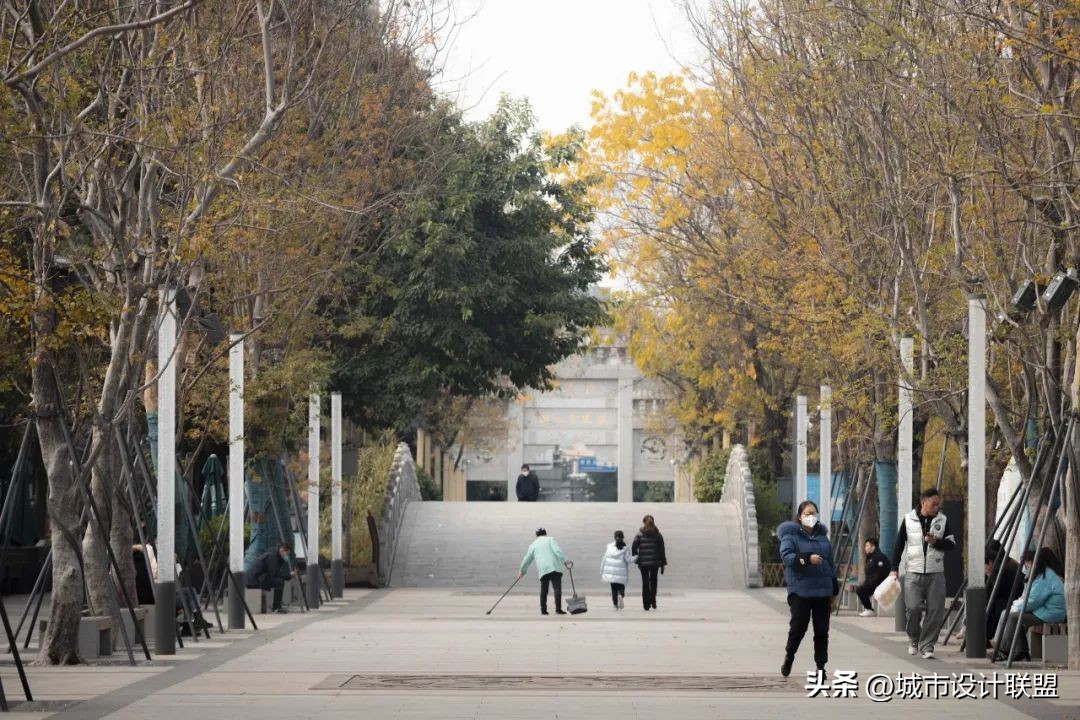 成都值得一游的公园,夏季成都宝藏公园