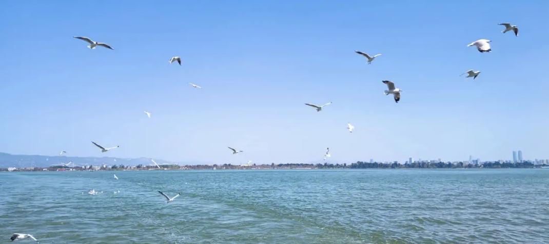 7月特价机票20元,广州出发机票低至1.4折