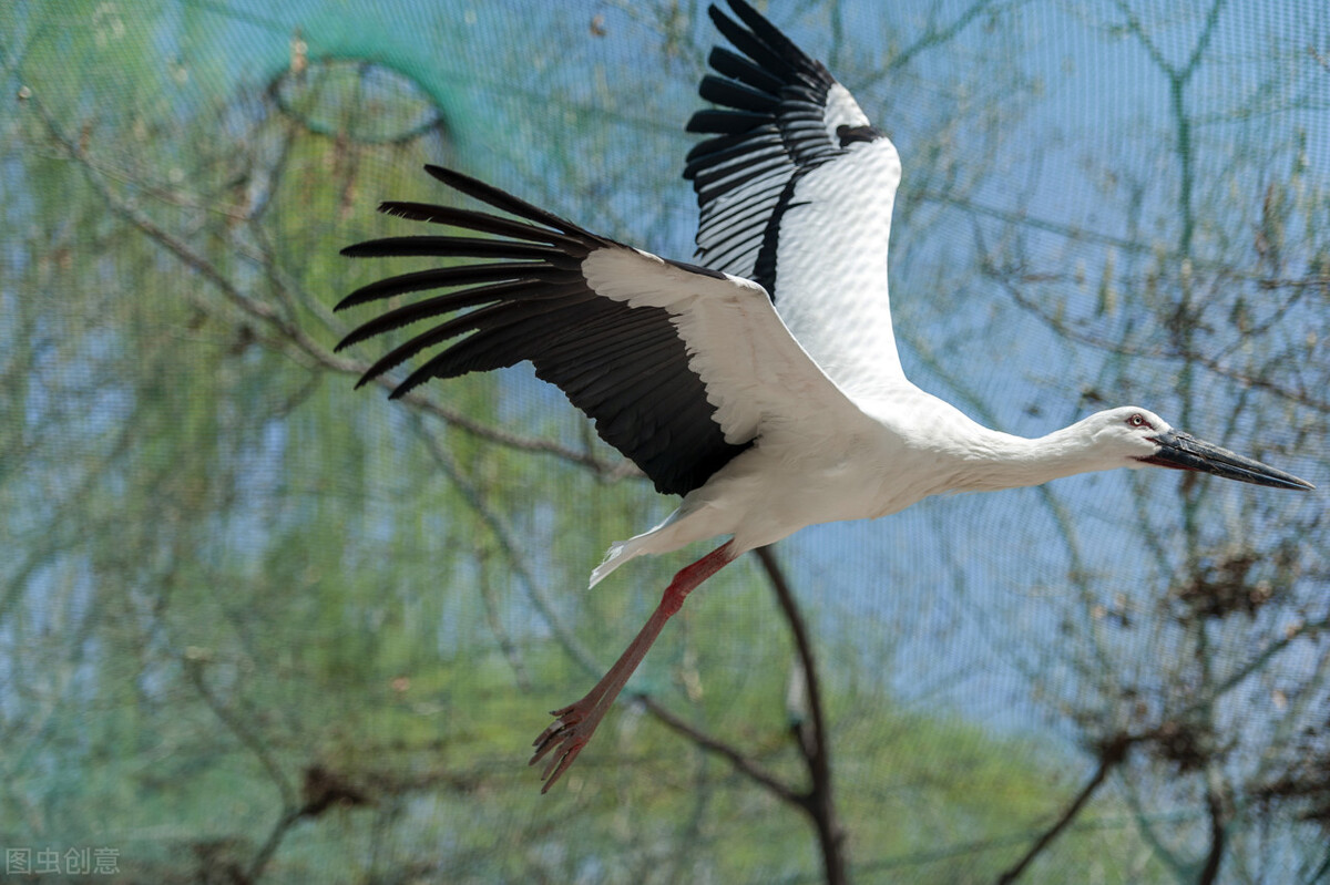 德国国家游，科普文化知识