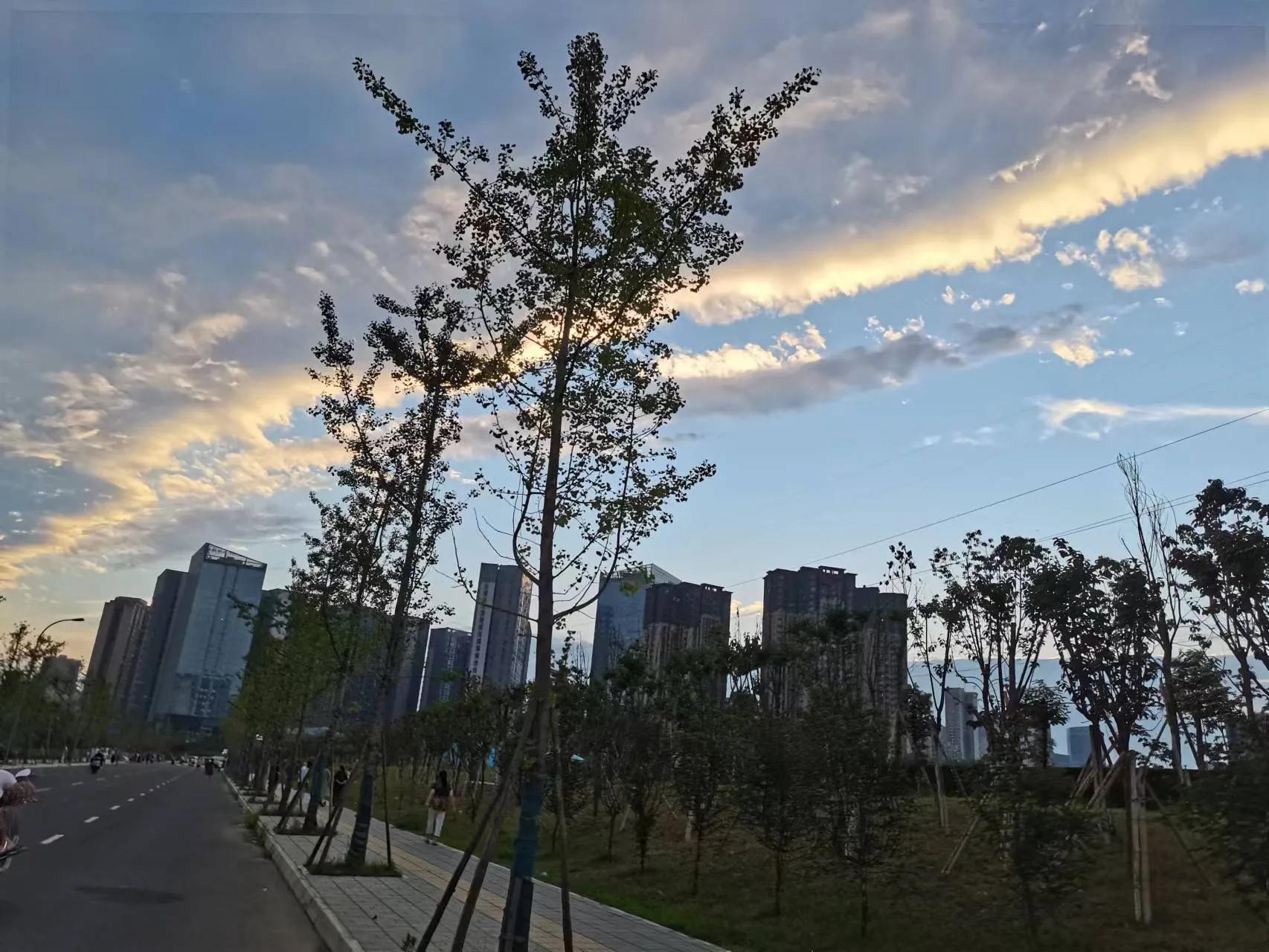 成都市青龙湖附近楼盘房价,成都市青龙湖湿地公园