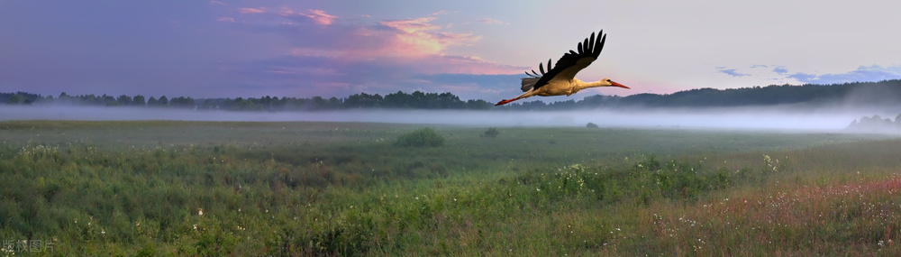 春日绝句杜甫,春日七言绝句古诗