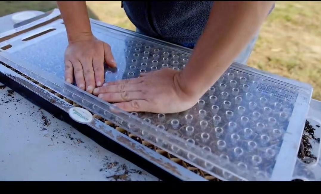 欧洲家庭农场种植技术,小型先进农业工具