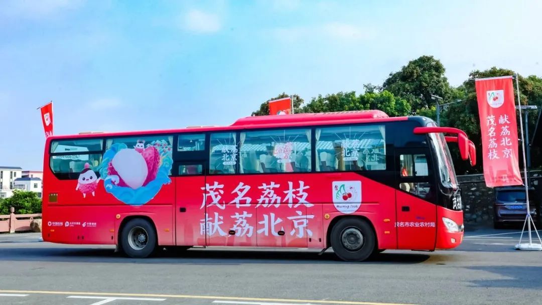 茂名当地出名的荔枝品牌,高州荔枝百亿品牌