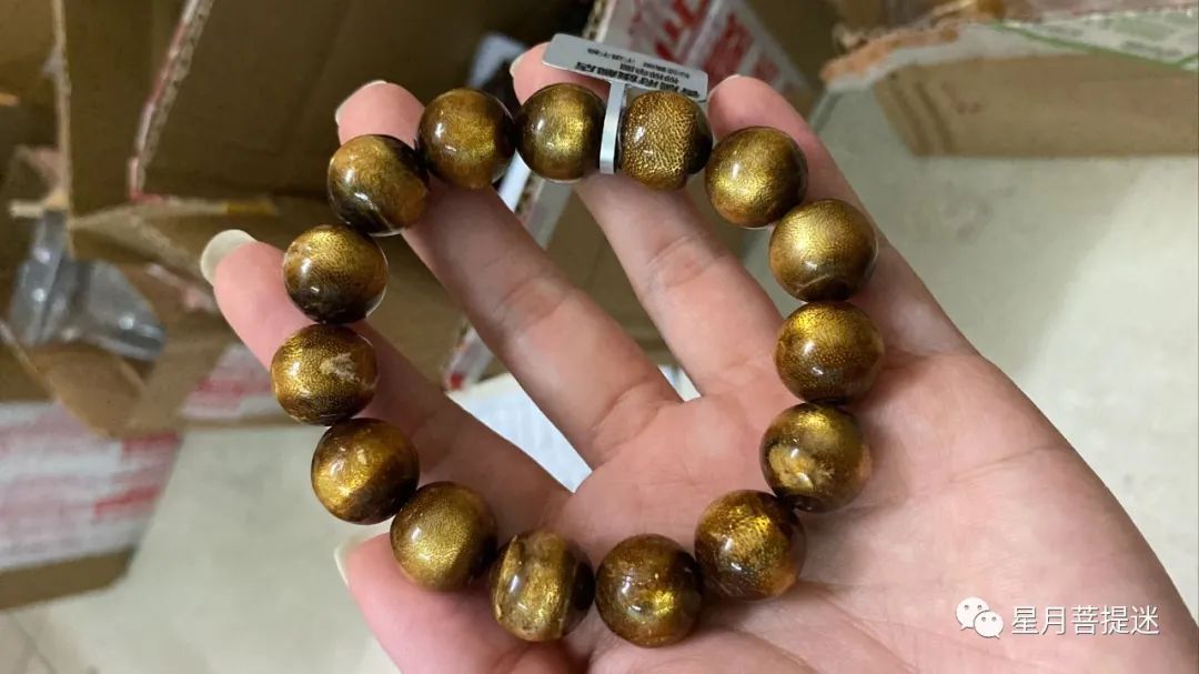 市面上主流的廉价海柳，你了解多少