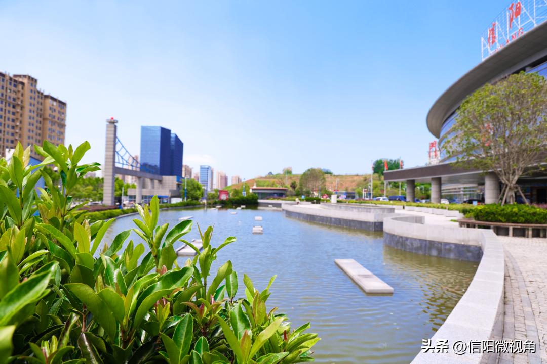 夏日限定!带您沉浸式体验信阳市人民医院的绿意芳香