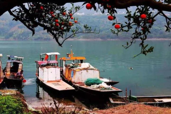 励志彭蕾谈马云被拒绝37次,彭蕾回忆阿里创业初期马云的话