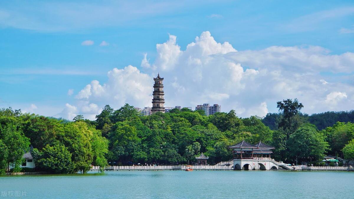 马尔代夫哪个岛可以看见海龟,马尔代夫海龟一般出现在哪里