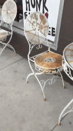 100个难得一见照片,难得一见12张照片